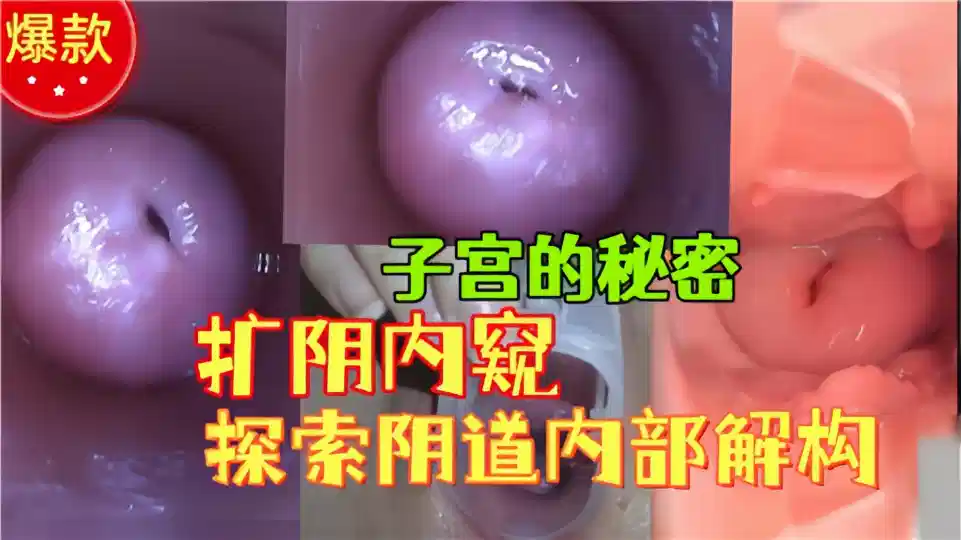 子宫的秘密！！扩阴内窥探索阴道内部结构
